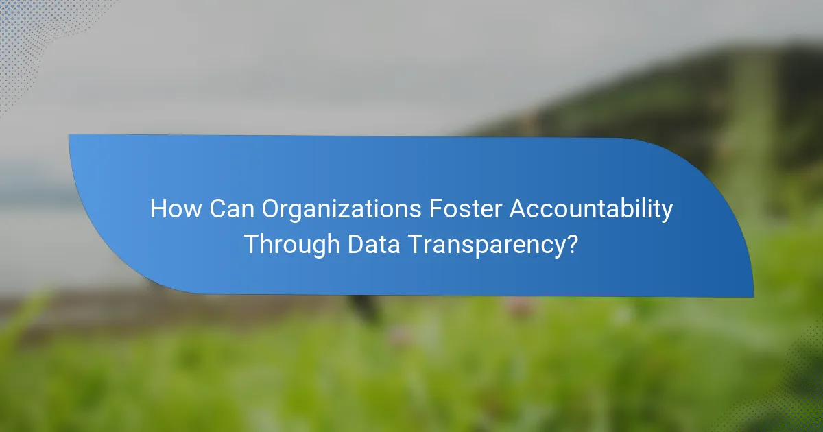 How Can Organizations Foster Accountability Through Data Transparency?