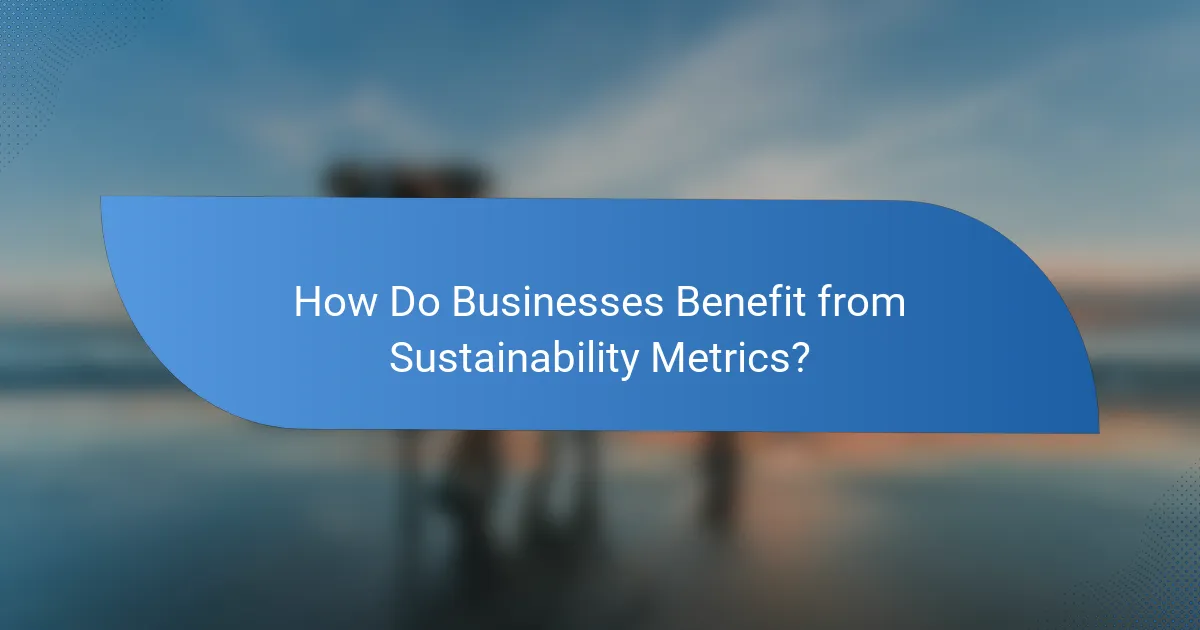 How Do Businesses Benefit from Sustainability Metrics?