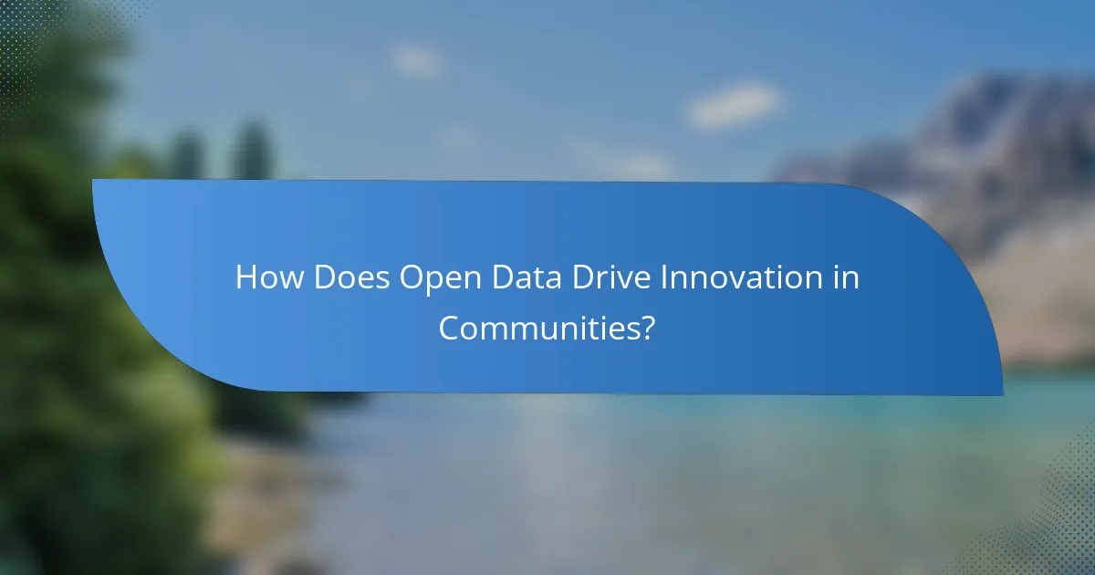 How Does Open Data Drive Innovation in Communities?
