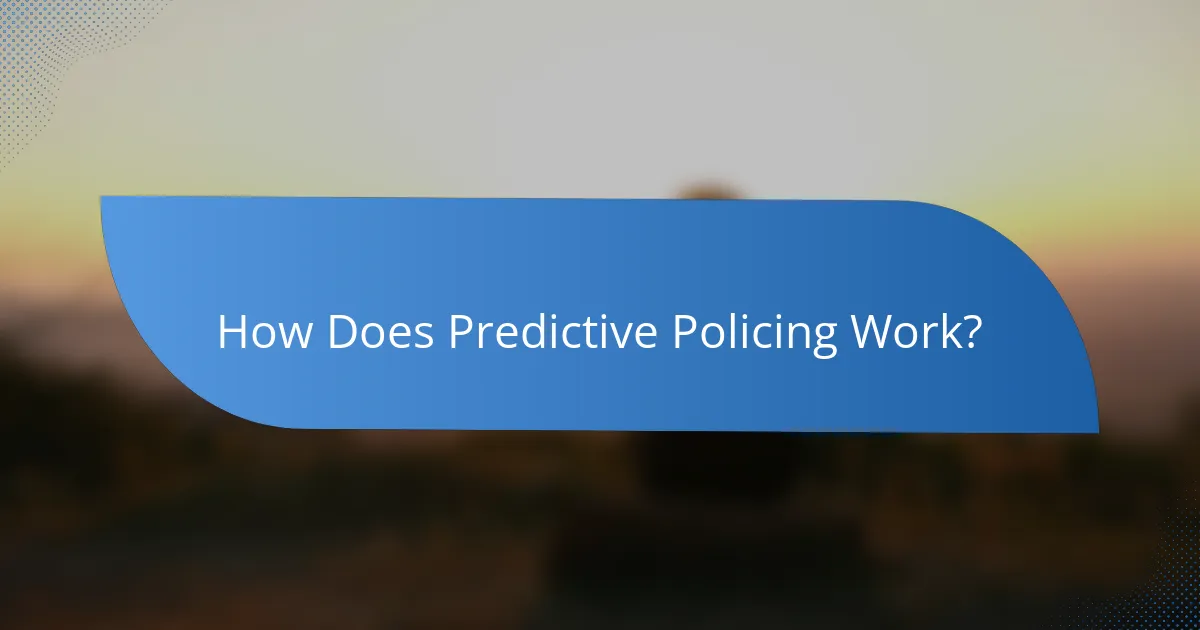 How Does Predictive Policing Work?