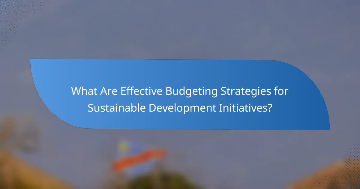 What Are Effective Budgeting Strategies for Sustainable Development Initiatives?