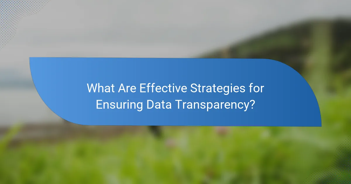 What Are Effective Strategies for Ensuring Data Transparency?