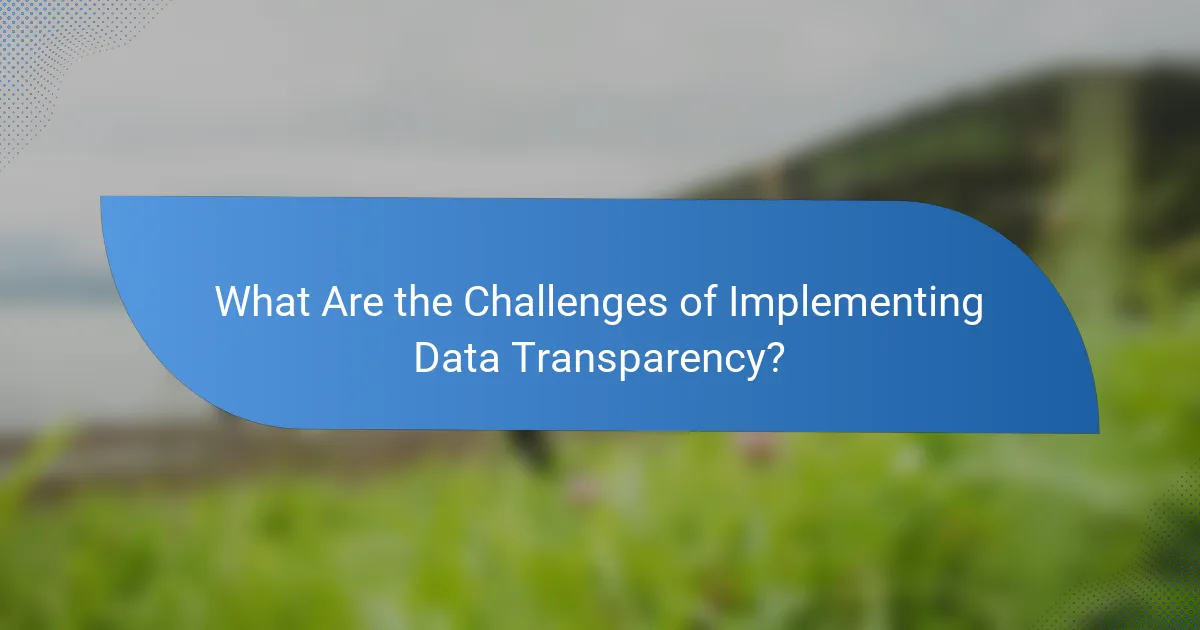 What Are the Challenges of Implementing Data Transparency?