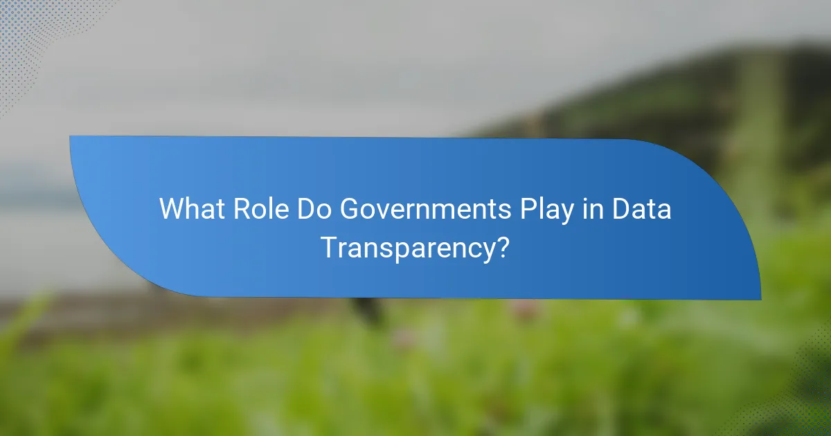 What Role Do Governments Play in Data Transparency?