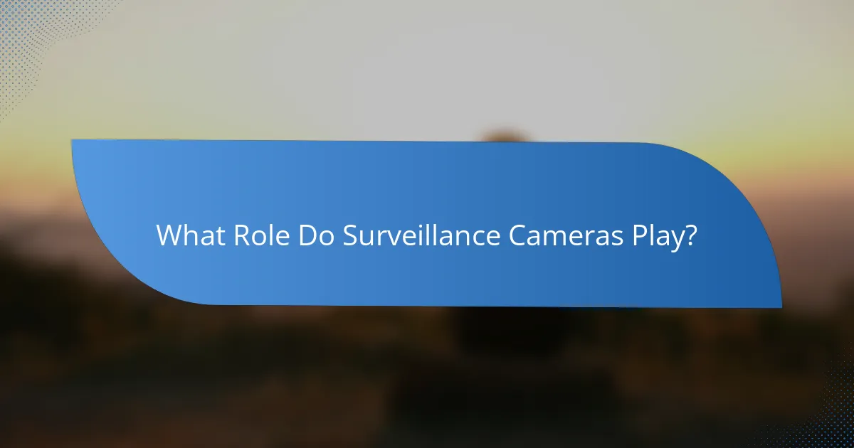 What Role Do Surveillance Cameras Play?