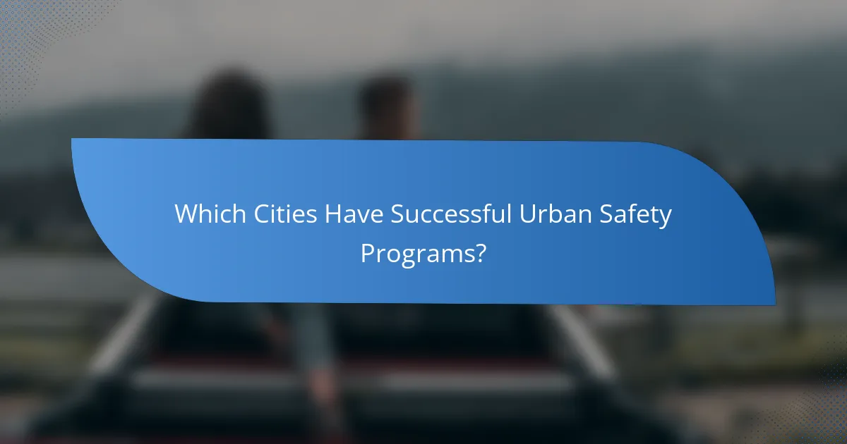 Which Cities Have Successful Urban Safety Programs?